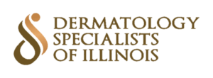 DSI Logo